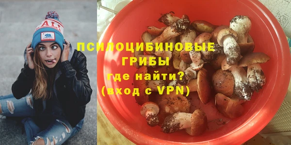 ГАЛЛЮЦИНОГЕННЫЕ ГРИБЫ Волоколамск