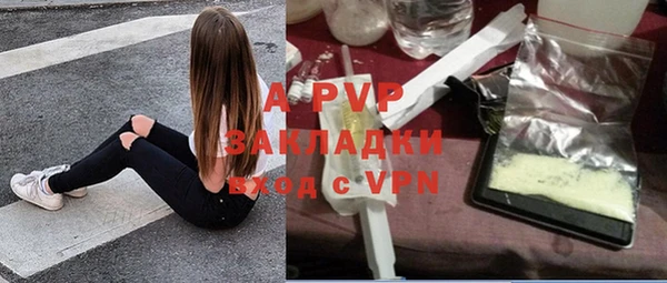 спиды Сясьстрой