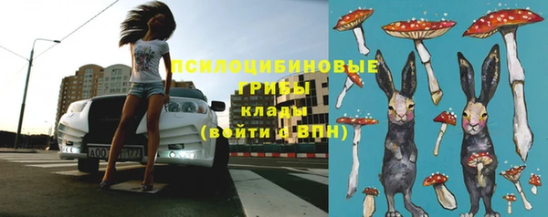 ГАЛЛЮЦИНОГЕННЫЕ ГРИБЫ Волоколамск
