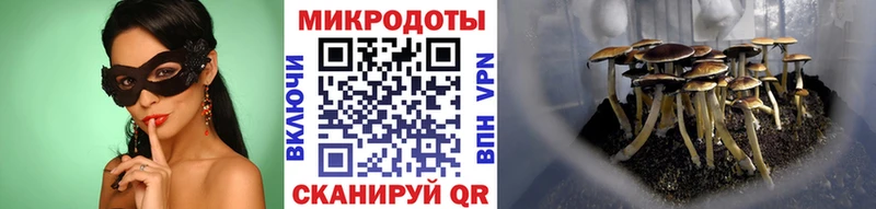 mega зеркало  Отрадный  Галлюциногенные грибы Psilocybine cubensis 