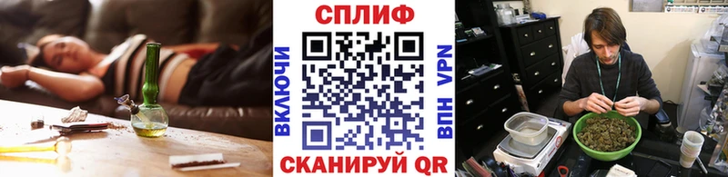 Бошки Шишки планчик  Отрадный 